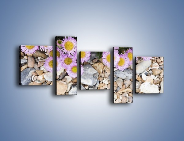 Obraz na płótnie – Kolorowe kamienie czy małe kwiatuszki – pięcioczęściowy K146W7
