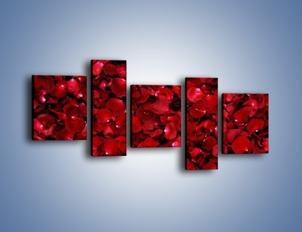Obraz na płótnie – Dywan usłany płatkami róż – pięcioczęściowy K175W7