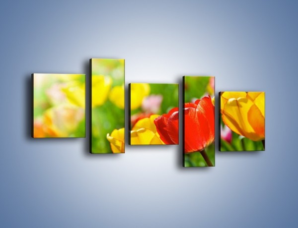 Obraz na płótnie – Wiosenne piękno w tulipanach – pięcioczęściowy K213W7