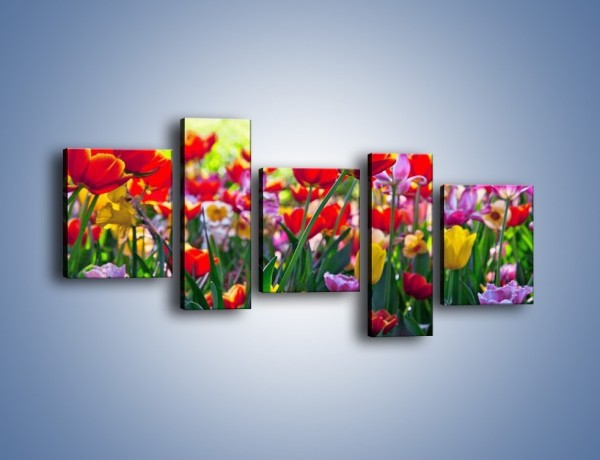 Obraz na płótnie – Odpoczynek wśród tulipanów – pięcioczęściowy K218W7
