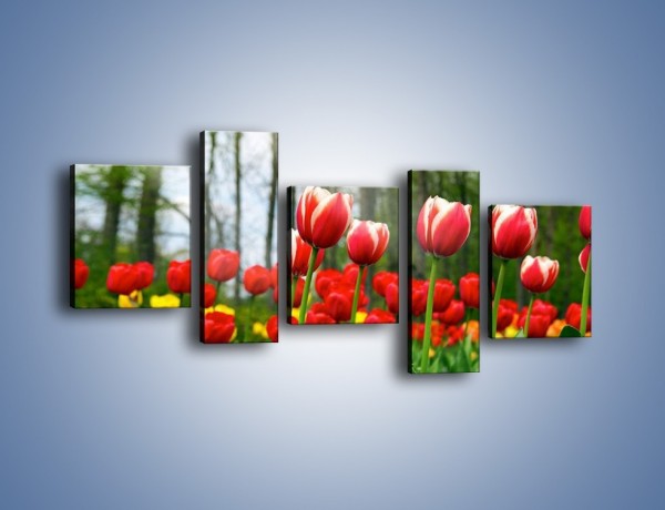 Obraz na płótnie – Leśna polana pełna tulipanów – pięcioczęściowy K319W7