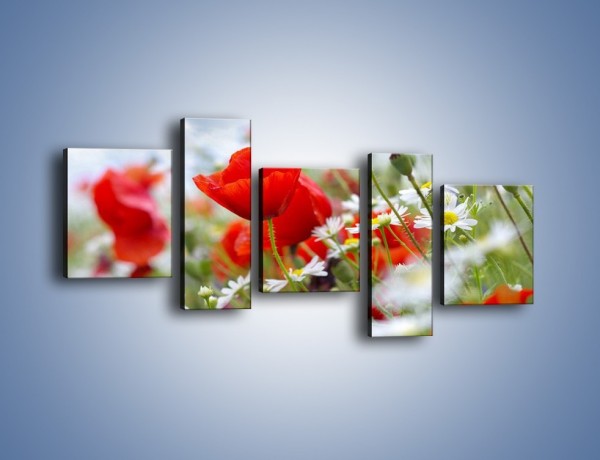 Obraz na płótnie – Polana pełna kwiatów – pięcioczęściowy K371W7