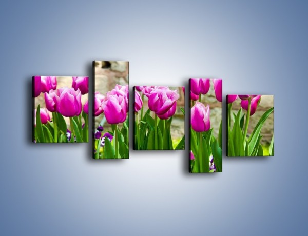 Obraz na płótnie – Tulipany w domowym ogródku – pięcioczęściowy K409W7