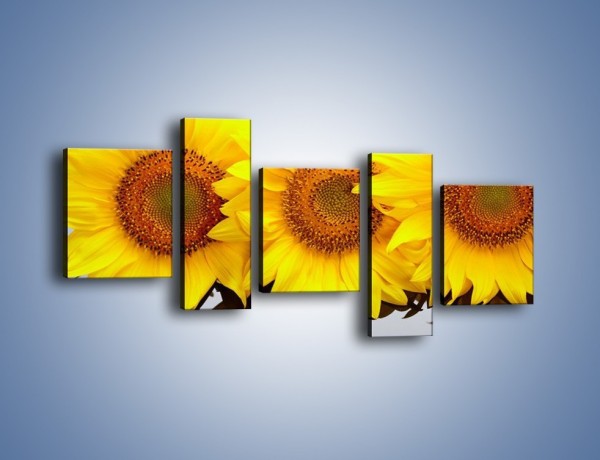 Obraz na płótnie – Najpiękniejsza odsłona słoneczników – pięcioczęściowy K416W7