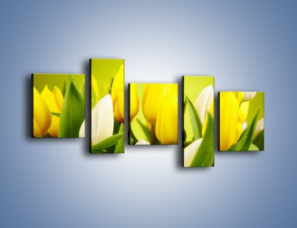 Obraz na płótnie – Nie tylko tulipany – pięcioczęściowy K425W7
