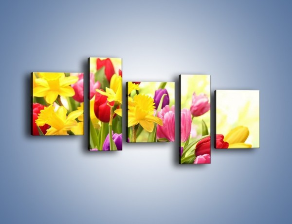 Obraz na płótnie – Żonkile wśród tulipanów – pięcioczęściowy K430W7