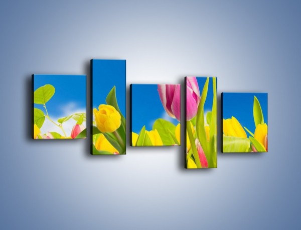 Obraz na płótnie – Kolorowe tulipany w bajkowej oprawie – pięcioczęściowy K431W7