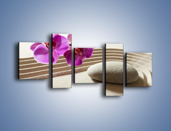 Obraz na płótnie – Kwiat i pustynia – pięcioczęściowy K434W7