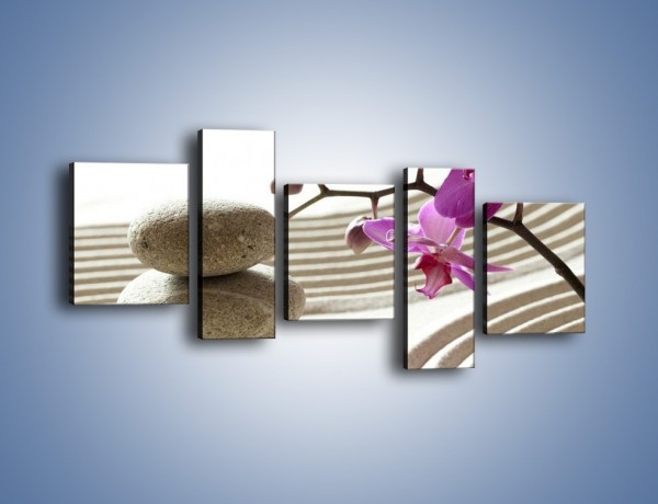 Obraz na płótnie – Kamień piasek i kwiat – pięcioczęściowy K435W7