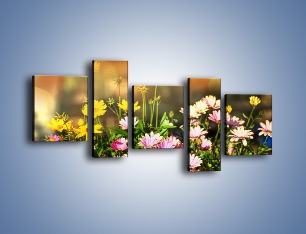 Obraz na płótnie – Polne kwiaty z uśmiechem – pięcioczęściowy K456W7