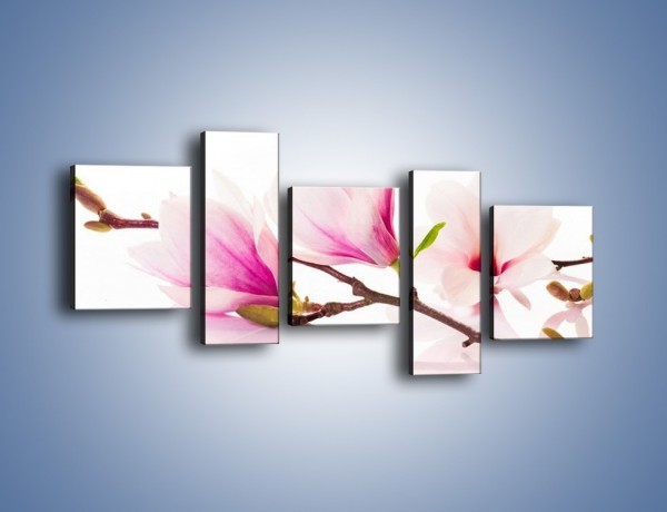 Obraz na płótnie – Lekkość w kwiatach wiśni – pięcioczęściowy K485W7