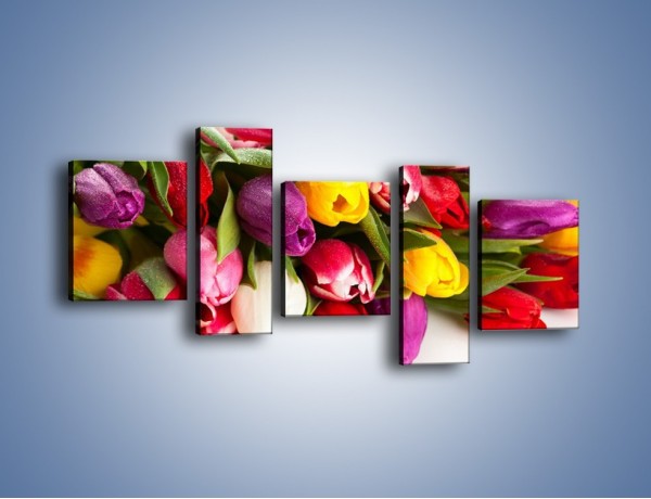 Obraz na płótnie – Spokój i luz zachowany w tulipanach – pięcioczęściowy K538W7