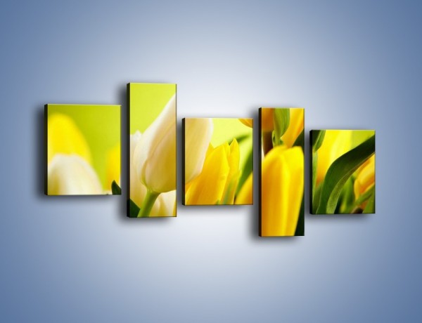 Obraz na płótnie – Żółta historia o kwiatach – pięcioczęściowy K553W7