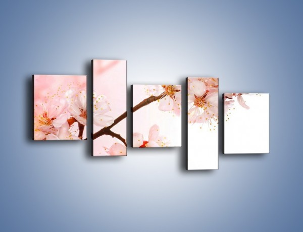 Obraz na płótnie – Blask kwiatów jabłoni – pięcioczęściowy K569W7
