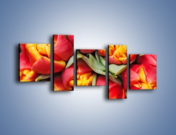 Obraz na płótnie – Tulipany papuzie – pięcioczęściowy K573W7