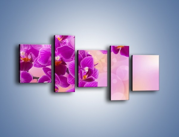 Obraz na płótnie – Spadające fioletowe kwiaty – pięcioczęściowy K614W7