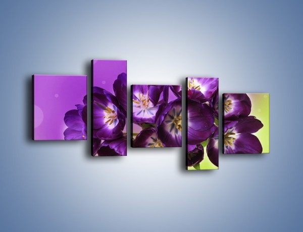 Obraz na płótnie – Fioletowe kwiaty w powietrzu – pięcioczęściowy K630W7