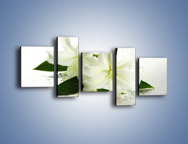 Obraz na płótnie – Niewinność białej lilii – pięcioczęściowy K632W7