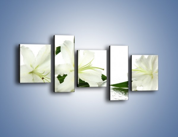 Obraz na płótnie – Czysta biel kwiatów – pięcioczęściowy K633W7