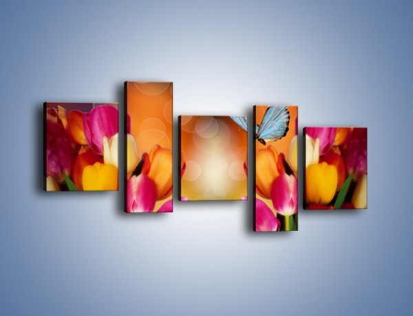 Obraz na płótnie – Motyl wśród tulipanów – pięcioczęściowy K635W7