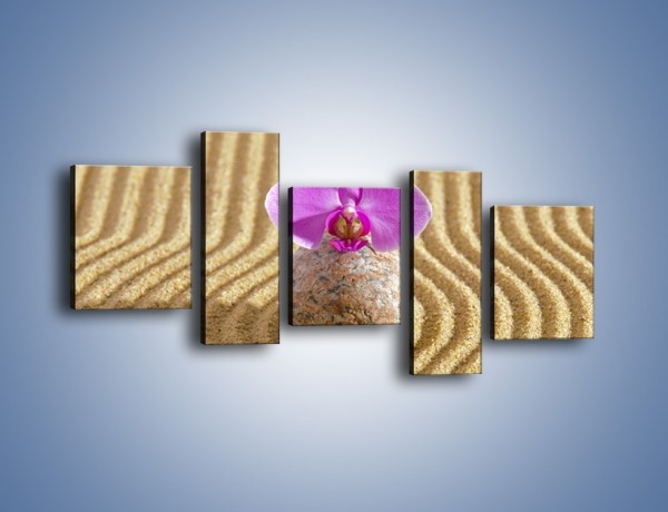 Obraz na płótnie – Struktura piasku z kwiatem – pięcioczęściowy K637W7