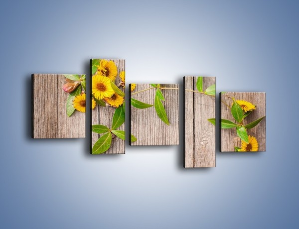 Obraz na płótnie – Słoneczne kwiatuszki na deskach – pięcioczęściowy K645W7