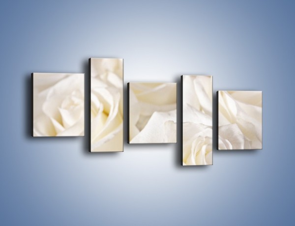 Obraz na płótnie – Dywan z białych róż – pięcioczęściowy K711W7
