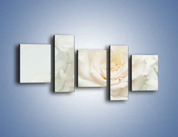 Obraz na płótnie – Czysta biel kwiatów – pięcioczęściowy K712W7