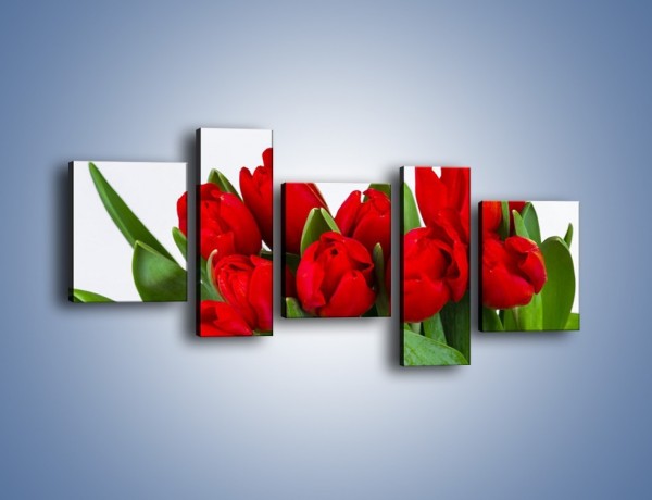 Obraz na płótnie – Tulipany na dzień kobiet – pięcioczęściowy K740W7