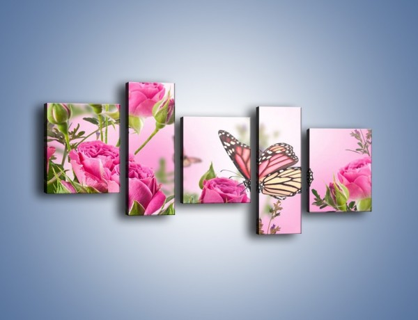 Obraz na płótnie – Motyle różowe jak kwiaty – pięcioczęściowy K741W7