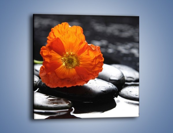 Obraz na płótnie – Woda kamień i kwiat – jednoczęściowy kwadratowy K287