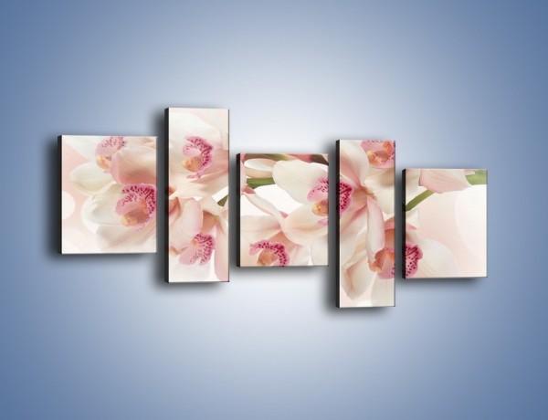 Obraz na płótnie – Szlachetne różowe storczyki – pięcioczęściowy K756W7