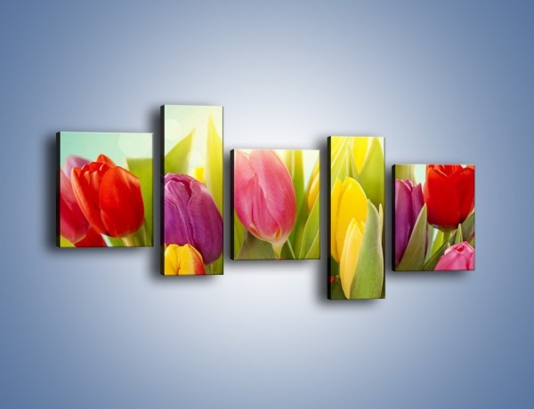 Obraz na płótnie – Tulipany w pierwszym rzędzie – pięcioczęściowy K760W7