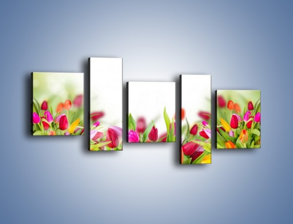 Obraz na płótnie – Tulipanowe bukieciki – pięcioczęściowy K763W7
