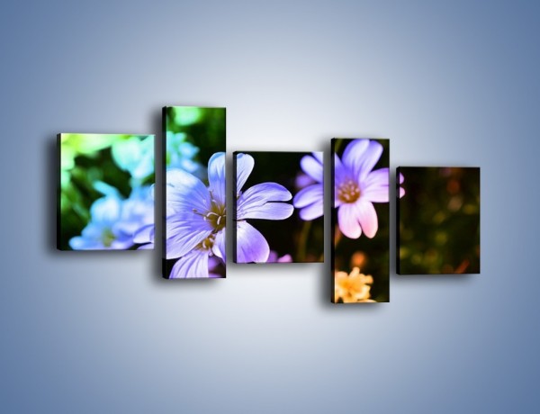 Obraz na płótnie – Niebieskie główki kwiatuszków – pięcioczęściowy K769W7