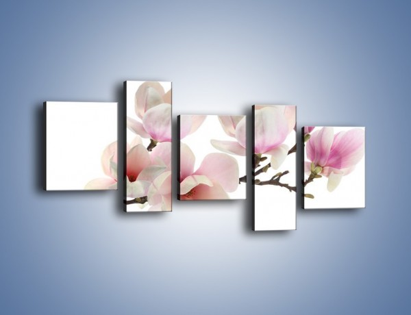 Obraz na płótnie – Zerwana gałązka magnolii – pięcioczęściowy K780W7