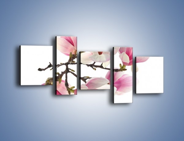 Obraz na płótnie – Wirujące kwiaty magnolii – pięcioczęściowy K781W7