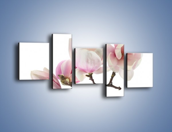 Obraz na płótnie – Obcięte gałązki białych różowych kwiatów – pięcioczęściowy K783W7