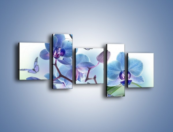 Obraz na płótnie – Niebieskie motyle jak niebieskie kwiaty – pięcioczęściowy K784W7