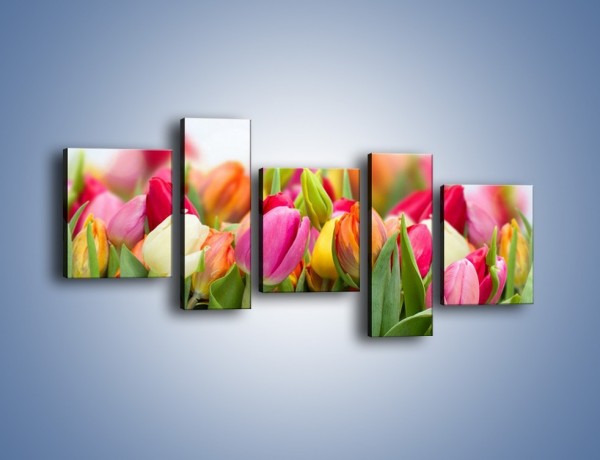 Obraz na płótnie – Ogrzane w słońcu tulipany – pięcioczęściowy K792W7