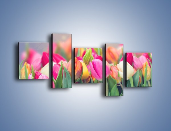 Obraz na płótnie – Tulipany i baśniowy widok – pięcioczęściowy K793W7