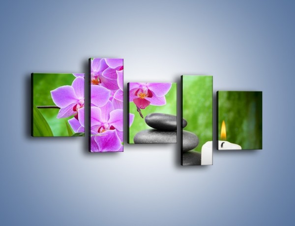 Obraz na płótnie – Wyraźny akcent kwiatowy – pięcioczęściowy K810W7
