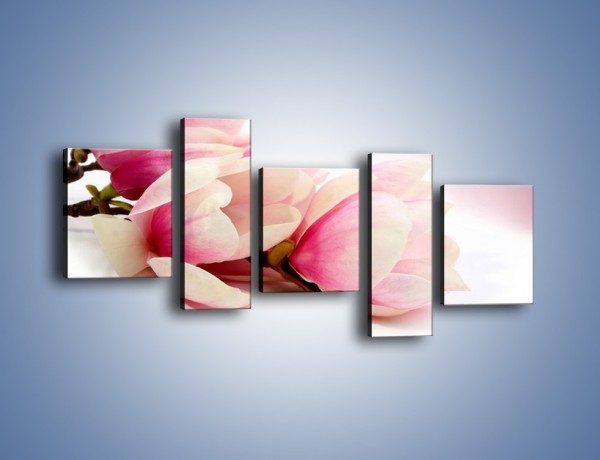 Obraz na płótnie – Gałąź magnolii na obłoku – pięcioczęściowy K817W7