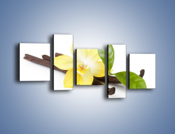 Obraz na płótnie – Samotny kwiat i dodatki – pięcioczęściowy K849W7