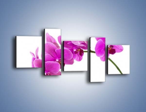 Obraz na płótnie – Kwiaty w lewą stronę – pięcioczęściowy K853W7