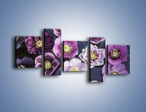 Obraz na płótnie – Wszystkie odcienie fioletu w kwiatach – pięcioczęściowy K876W7
