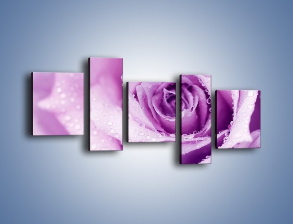 Obraz na płótnie – Jasny fiolet w róży – pięcioczęściowy K894W7