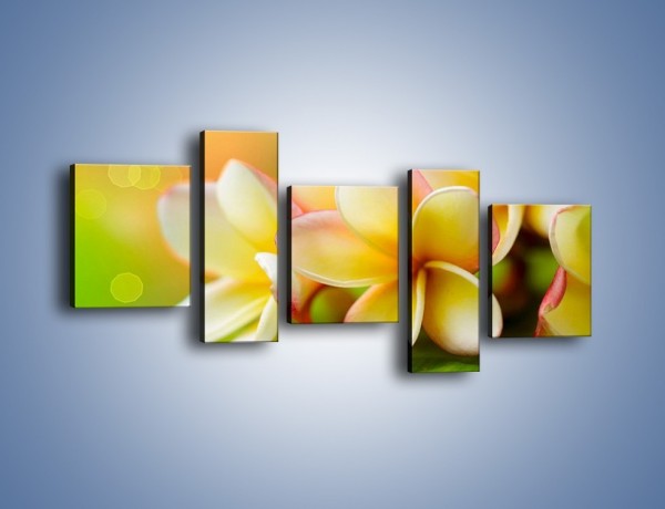 Obraz na płótnie – Kwiaty jak marcepanowe wypieki – pięcioczęściowy K898W7