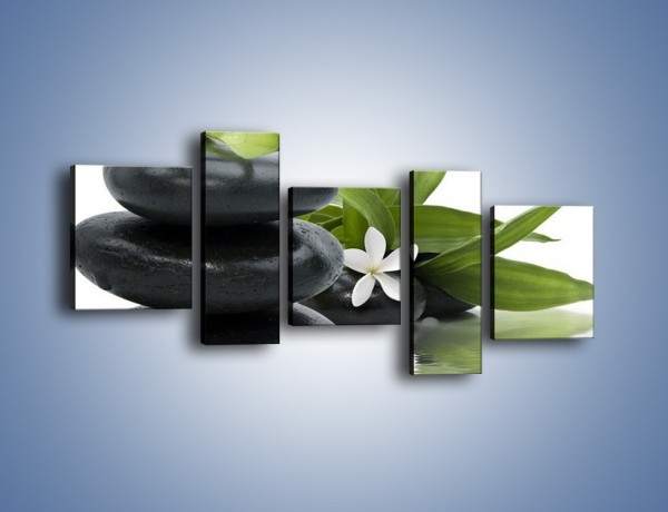 Obraz na płótnie – Schowana kwiatowa delikatność – pięcioczęściowy K915W7