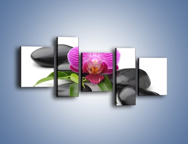 Obraz na płótnie – Kwiat i jego liście – pięcioczęściowy K941W7